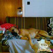 Blanding af racer Mikkel K