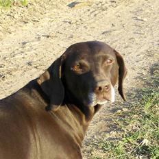 Blanding af racer RIKKE-LINE. R.I.P.