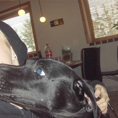 Blanding af racer Netto :)