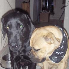 Blanding af racer Netto :)