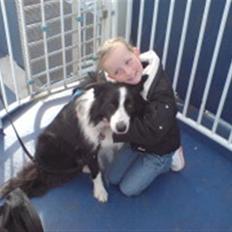 Border collie Balou<33
