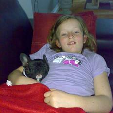 Fransk bulldog carla