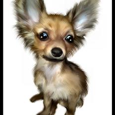 Blanding af racer *BAILEY*