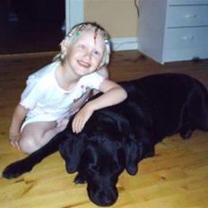 Labrador retriever Sussi