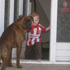 Boxer Boss (R.I.P. 21/3-09)