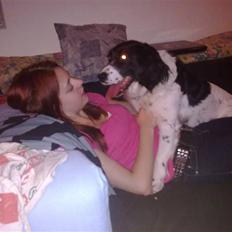 Blanding af racer Mollie TYKKE<3