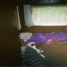 Blanding af racer Junior. R.I.P. 1988-2003