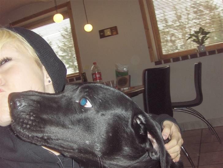 Blanding af racer Netto :) - mig & netto billede 1