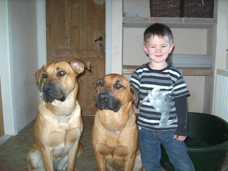 Blanding af racer Cato Bønnelykke  billede 16