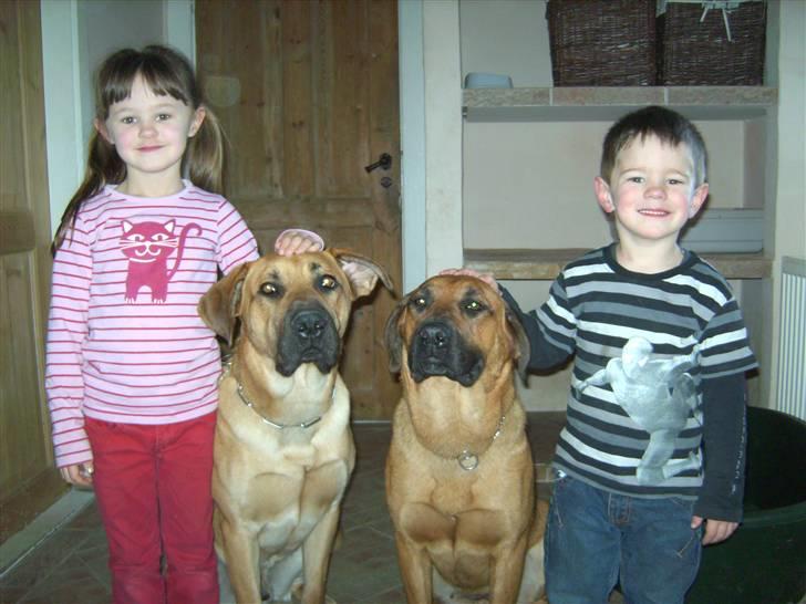 Blanding af racer CAYA Bønnelykke ¤ RIP ¤ - mig og Cato   og vores 2 venner :0) billede 8