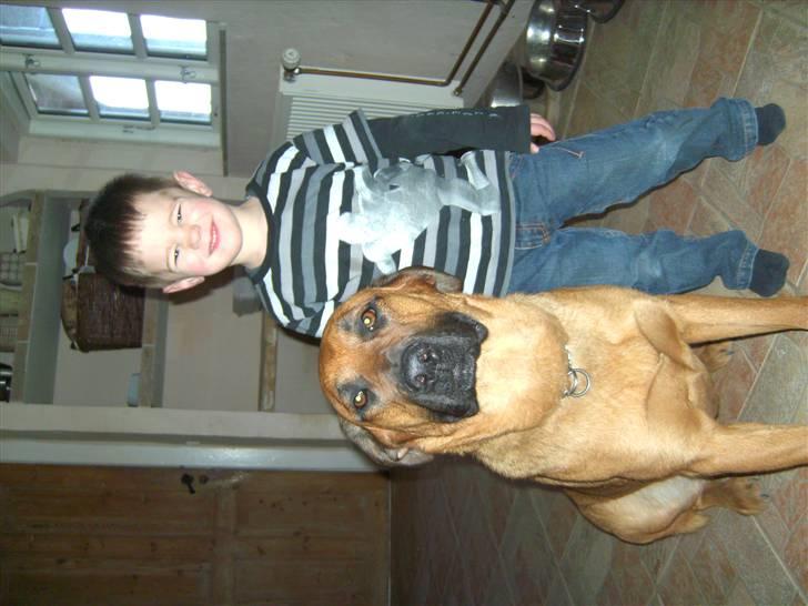 Blanding af racer CAYA Bønnelykke ¤ RIP ¤ billede 11