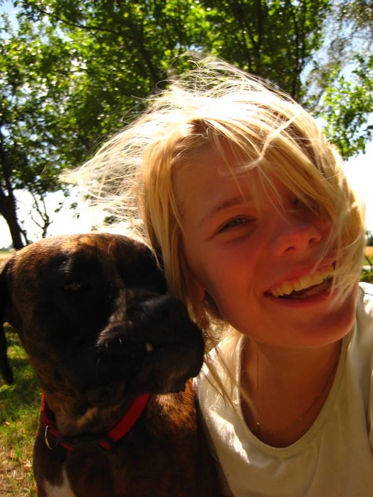 Boxer <3<3<3Leika <3<3<3 billede 3