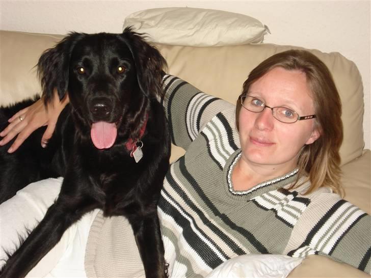 Flat coated retriever Maggie - Mor og jeg hygger  i sofaen billede 4