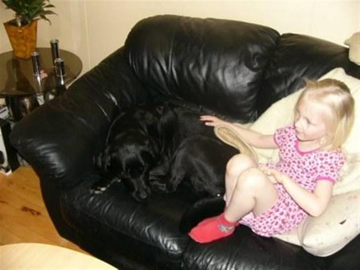 Labrador retriever Sussi - Sussi og vores ældste datter Maiken sommeren 2005. billede 3