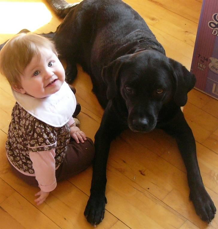 Labrador retriever Sussi - Sussi og vores yngeste datter Aja sommeren 2007. billede 8