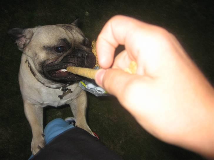 Blanding af racer aa Oscar billede 7