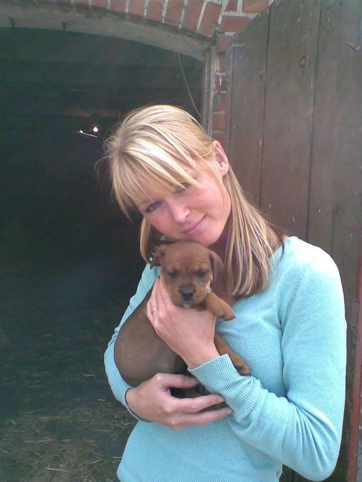 Blanding af racer >Miss Diva< - ca. 7 uger gammel og meget lille. :-) Her sammen med sin menneske mor. (mig) billede 4