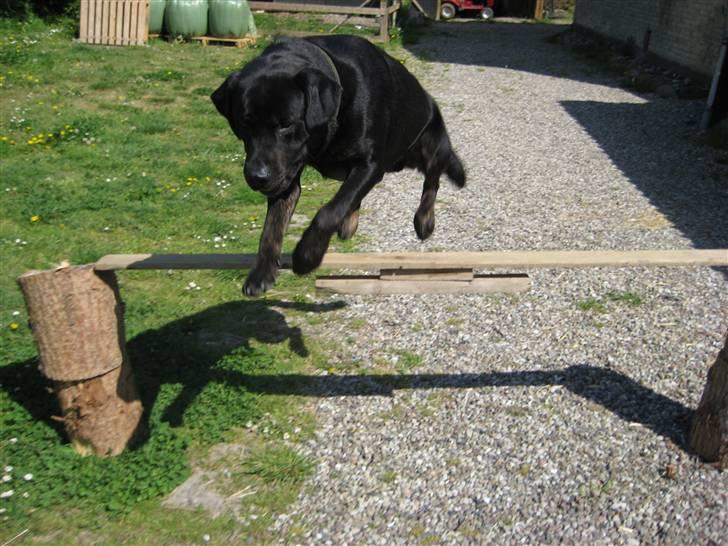 Blanding af racer Lakrids billede 2