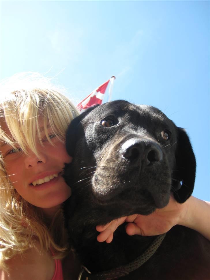 Blanding af racer Lakrids billede 4