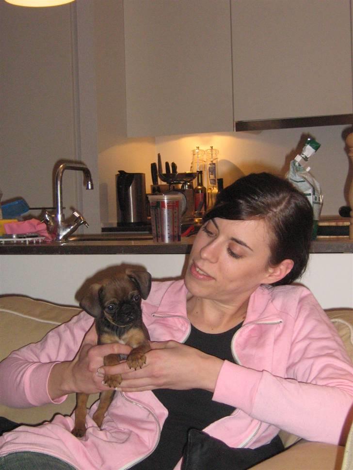 Blanding af racer Gaia - Gaia hos sin "moster" cristina billede 13