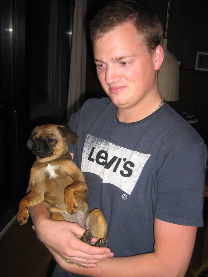 Blanding af racer Gaia - Fars pige ;) billede 16