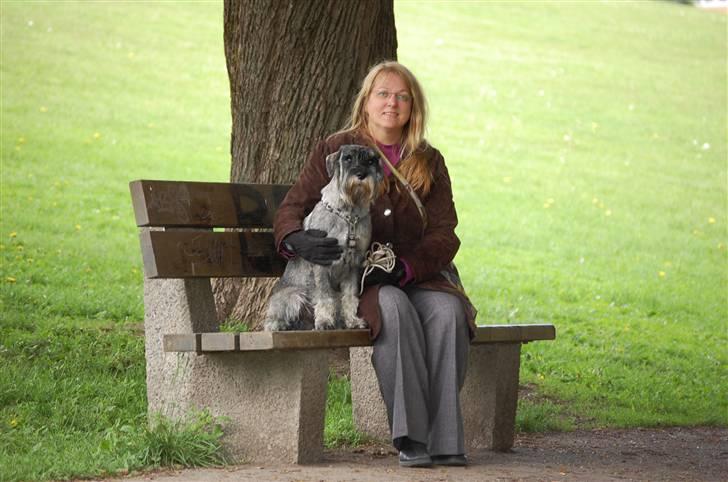 Mellemschnauzer Spinoza - Mitt gull og meg i Parken billede 13