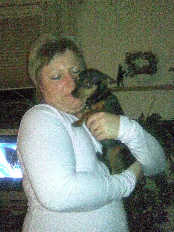 Prazsky krysarik Speedy - Mig og min mor billede 16