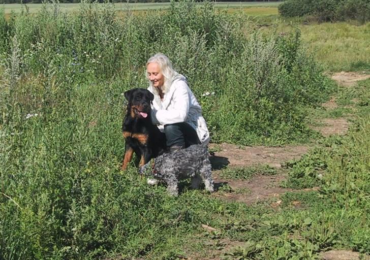 Rottweiler Louis - med Tango i engen billede 9