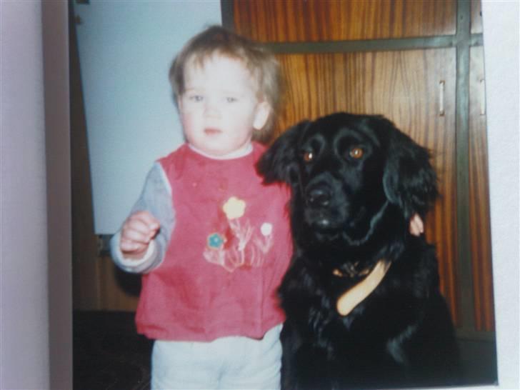 Blanding af racer Buster R.I.P billede 5