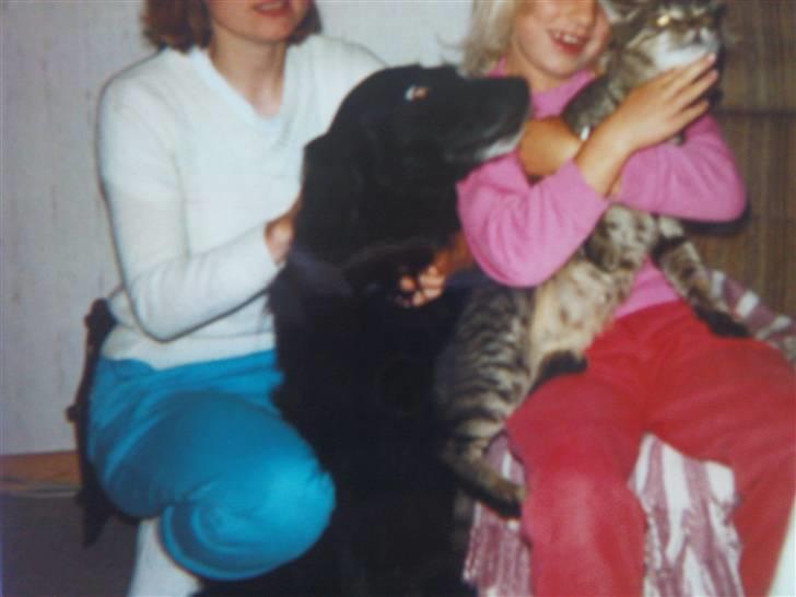 Blanding af racer Buster R.I.P billede 7