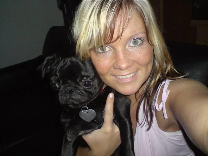 Mops Emma billede 16