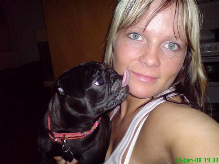 Mops Emma billede 17