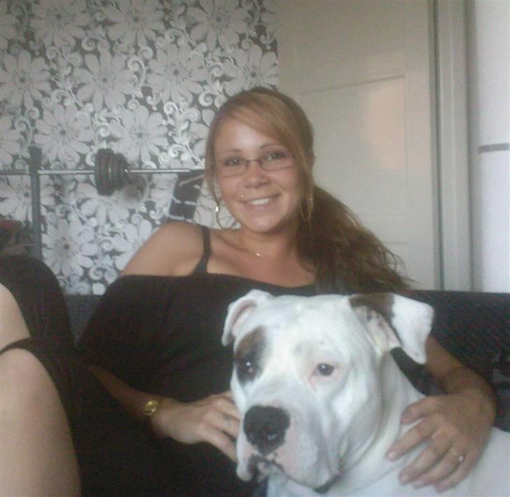 Amerikansk bulldog Ghetto Super Star* R.I.P billede 16