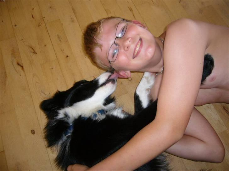 Islandsk fårehund Trico - aftenhygge på gulvet billede 8