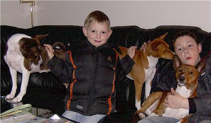 Basenji Mickey - Mickey hos Christopher yderst tilhøjre - maj 2008 billede 7