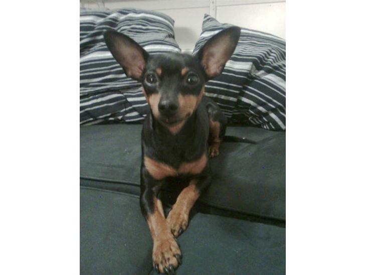 {{currentPhoto.altText}} billede {{currentPhoto.number}}