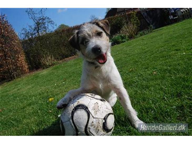 {{currentPhoto.altText}} billede {{currentPhoto.number}}