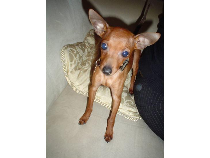 {{currentPhoto.altText}} billede {{currentPhoto.number}}