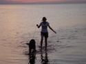 Gordon setter HØJTOFTE'S I Clyde*R.I.P*