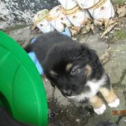 Blanding af racer Emma