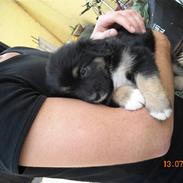 Blanding af racer Emma