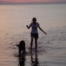 Gordon setter HØJTOFTE'S I Clyde*R.I.P*
