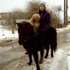 Blanding af racer Ludvig