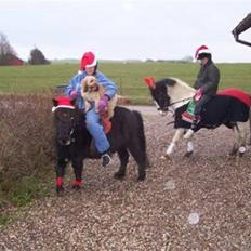 Blanding af racer Ludvig