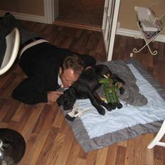 Grand danois WINTHER'S THOR *RIP*