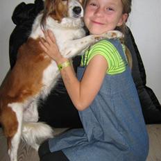 Kooikerhondje Tagas Topsi R.I.P