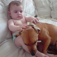 Blanding af racer Pjevsen