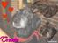 Blanding af racer R.I.P. Trunte - denne her billede har Sonny, Checco & Fie - I gør mit liv værd at leve<3 * lavet til mig er den ikke bare smuk 