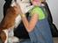 Kooikerhondje Tagas Topsi R.I.P