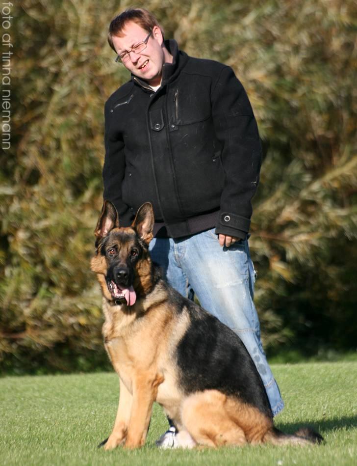 Schæferhund Kløverhorn's Fedor R.I.P. - Fedor og mig billede 4